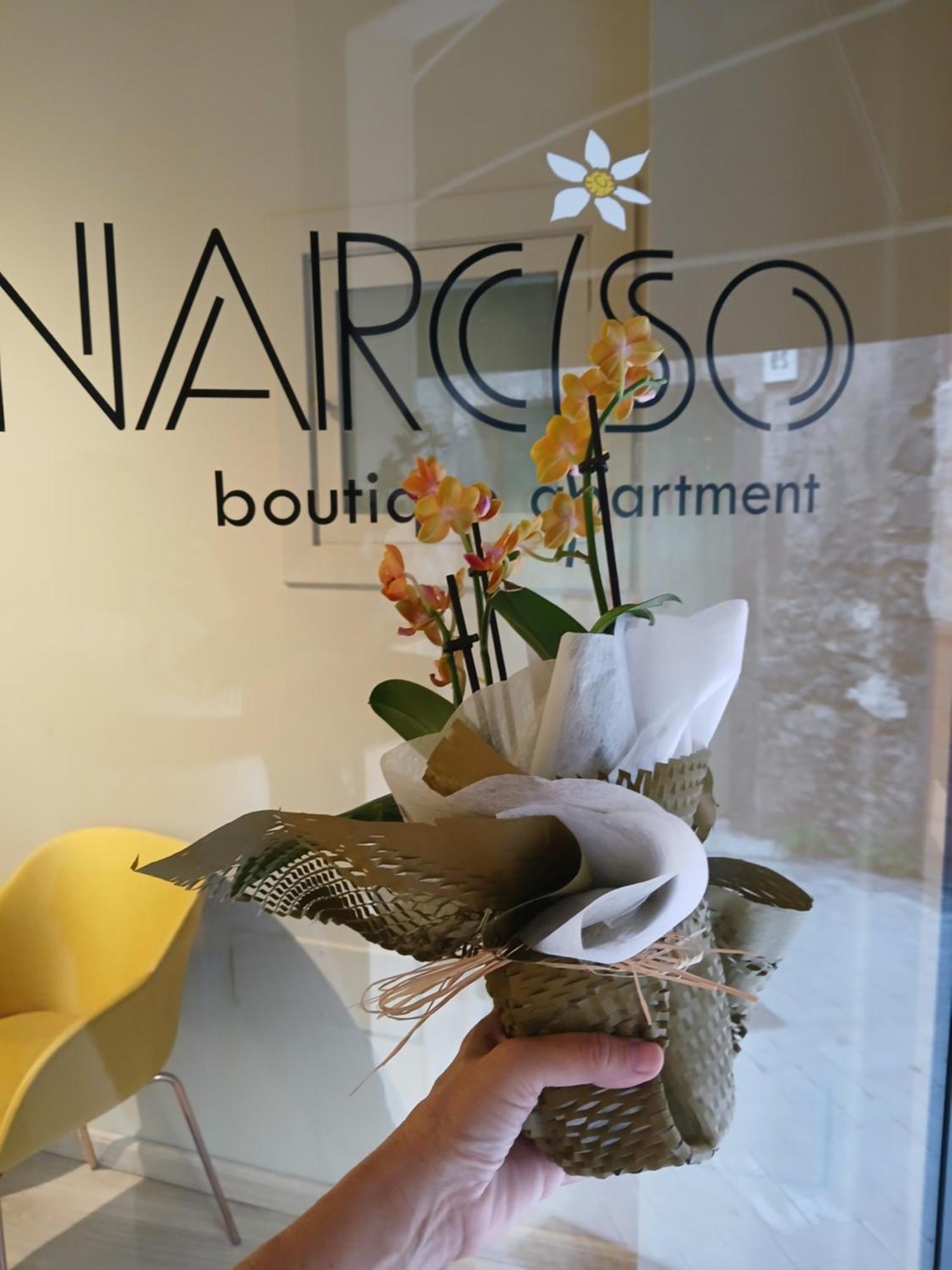 Narciso Boutique Apartment Acireale Exterior foto